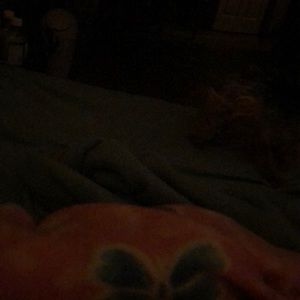 Meet your Posher, Debra